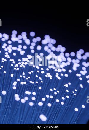 Fibre optic for data transfer transmission Stock Photo