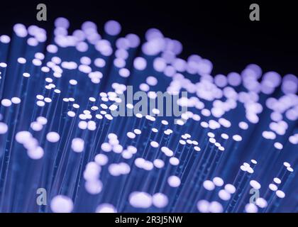 Fibre optic for data transfer transmission Stock Photo