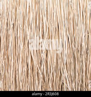 Close up of thatch roof or wall background. Tropical roofing on beach Stock Photo