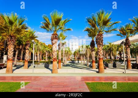 Paseo del Muelle Uno boardwalk is a popular pedestrian promenade located in the centre of the city of Malaga Stock Photo