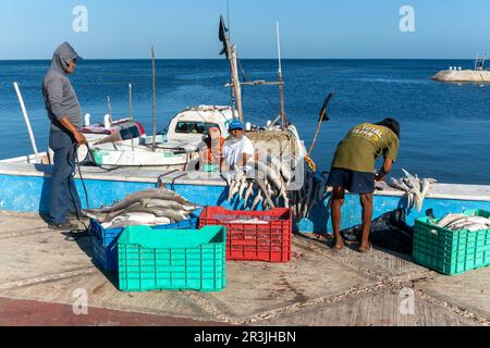 Large rod and reel for shark fishing at Gasparilla Island State