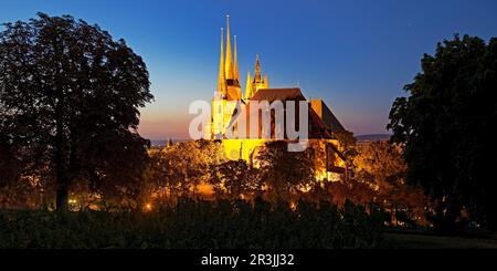 Severikirche and Erfurt Cathedral in the evening, Petersberg, Erfurt, Thuringia, Germany, Europe Stock Photo