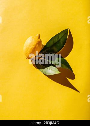 Fresh lemon with lemon tree leaves on yellow background Stock Photo