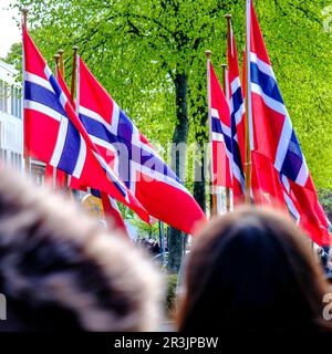 Sandnes, Norway, May 17 2023, Crowds Watching Norwegian Flag Carrying Parade Main Street Sandnes Norway Stock Photo