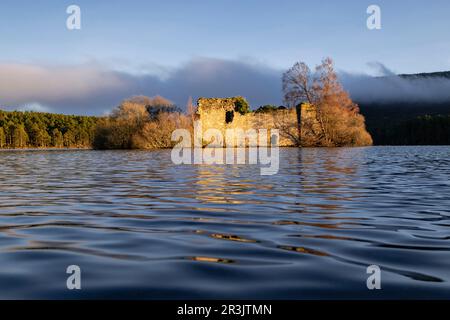 castillo del siglo XIII, Loch an Eilein, Parque Nacional de Cairngorms, Highlands, Escocia, Reino Unido. Stock Photo