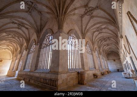 claustro, Catedral de Santa María de la Asunción, El Burgo de Osma, Soria, comunidad autónoma de Castilla y León, Spain, Europe. Stock Photo