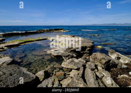 Delta beach, Municipality of Llucmajor, Mallorca, balearic islands, spain, europe. Stock Photo