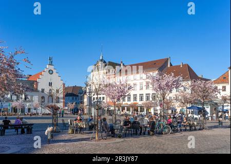 Town hall square with historical buildings, Landau, Palatinate, Rhineland-Palatinate, Germany, Europe Stock Photo