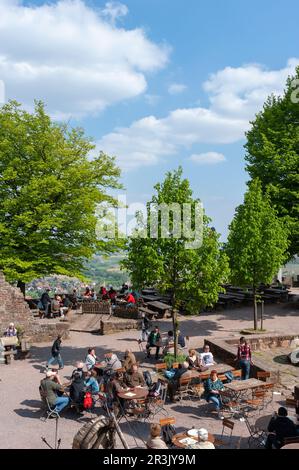 Beer garden in the castle yard of Landeck Castle, Klingenmuenster, Palatinate, Rhineland-Palatinate, Germany, Europe Stock Photo