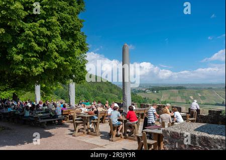 Beer garden in the castle yard of Landeck Castle, Klingenmuenster, Palatinate, Rhineland-Palatinate, Germany, Europe Stock Photo