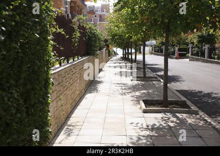 Beautiful view of city street with buildings and trees Stock Photo