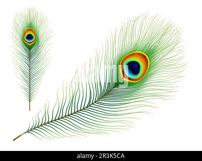 Peacock feather. Exotic tropical bird realistic vector colorful green feather with eye iridescent pattern. Peafowl tail or phoenix magic bird isolated plumage, elegant decoration element Stock Vector