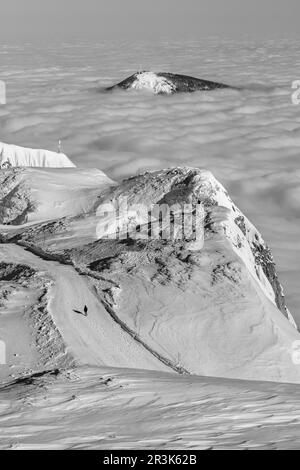 Salzburger Hochthron in winter above the clouds in black and white Stock Photo