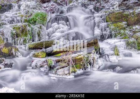 Selke waterfall in the Selke Valley Harz Mountains Stock Photo