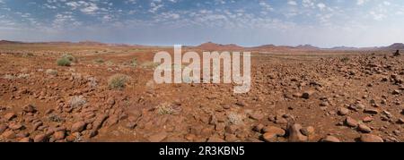 Arid landscape of Palmwag Concession, Namibia Stock Photo