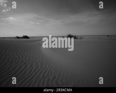 Wind swept sand at the west frisian islands in the netherlands Stock Photo