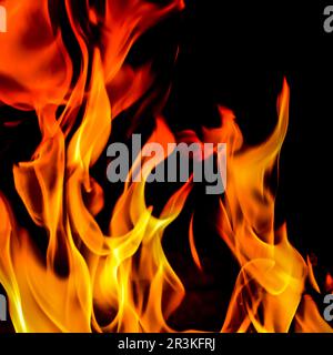 Flames of fire on a black background. The mystery of fire. Stock Photo