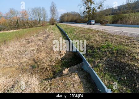 Amphibian passageway that facilitates the migration of amphibians. Passage under the road, between Arry and Corcy, Lorraine, France Stock Photo