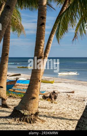 Beach with Bangka boat in the  Philippines on island Siquijor Stock Photo