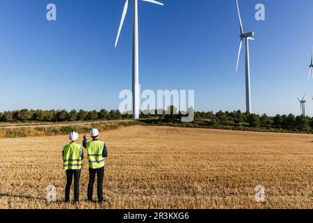 Professional engineers working together in a wind turbine field. Stock Photo