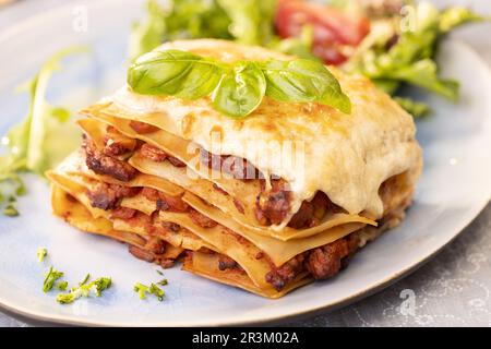 Close-up of a portion of lasagna Stock Photo