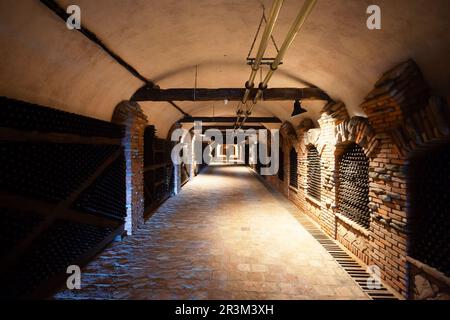 Kvareli, Georgia - September 03, 2021: Wine cellar at Khareba Winery near Kvareli in Kakheti. Kakheti is a region in eastern Georgia with Telavi as it Stock Photo
