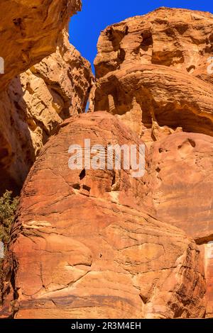 The Siq red rocks, canyon of Petra, Jordan Stock Photo
