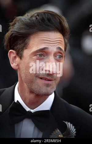 Cannes, France. 23rd May, 2023. CANNES, FRANCE - MAY 23: Adrien Brody attend the 'Asteroid City' red carpet during the 76th annual Cannes film festival at Palais des Festivals on May 23, 2023 in Cannes, France. Credit: dpa/Alamy Live News Stock Photo