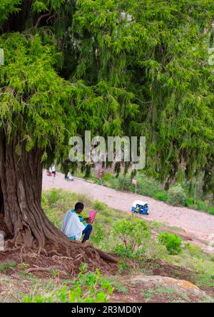 Ethiopian man reading a book under a big tree, Amhara Region, Lalibela, Ethiopia Stock Photo