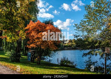 Schäfersee Reinickendorf, Berlin. The circular lake is a remnant of the last Ice Age, A block of dead ice melted and the depression filled with water. Stock Photo