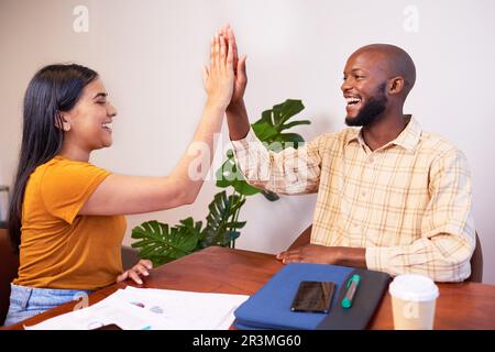 Two diverse colleagues high five at boardroom table, creative coding business Stock Photo