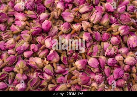 Dry tea roses isolated on a white background. Stock Photo