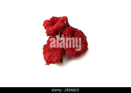 Dried pomegranate flower isolated on a white background. Top view. Stock Photo