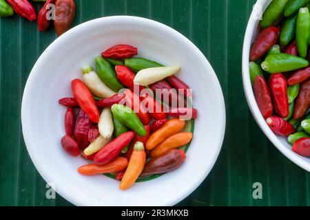Top down, closeup view of small red, green, orange and creamy white chilli peppers in white dishes on a green banana leaf background. Philippines. Stock Photo
