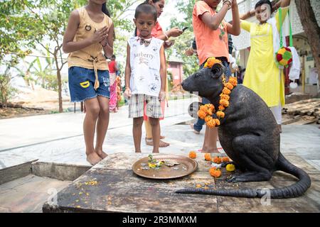 Indian Praying Rats Religious statue of a rat in Umananda Temple on Umananda island in the ...