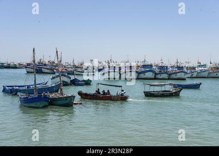 Nicolas Remene / Le Pictorium -  El Nino phenomenon on the northern coast of Peru -  16/10/2018  -  Peru / Piura / Islilla - Isla Foca  -  The fishing Stock Photo