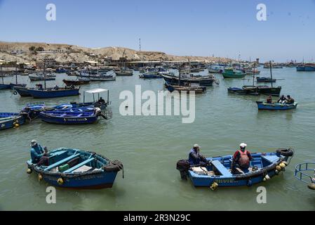 Nicolas Remene / Le Pictorium -  El Nino phenomenon on the northern coast of Peru -  16/10/2018  -  Peru / Piura / Islilla - Isla Foca  -  The fishing Stock Photo