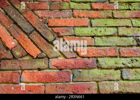 An old brick wall partly with moss and algae overgrown. Meant as background Stock Photo