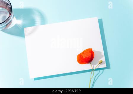 Blank card and red poppy flower on light blue background with hard shadows. Holiday concept, greeting card, invitation, mockup. Top view, flat lay. Stock Photo