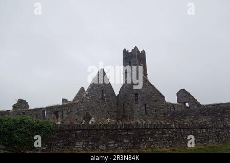 Historic ruins of Timoleague Friary, County Cork, Ireland, Republic of Ireland Stock Photo