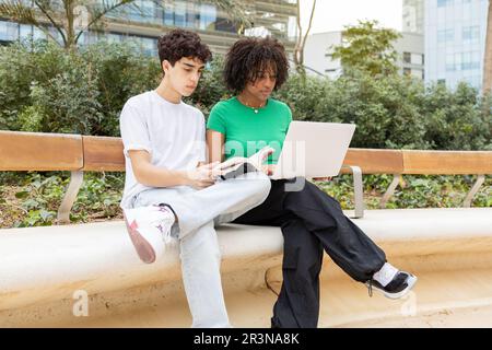 Concentrated young students sitting together on cement border with legs crossed in daylight while black female looking at screen of laptop and male re Stock Photo