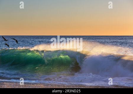 Wave Stock Photo