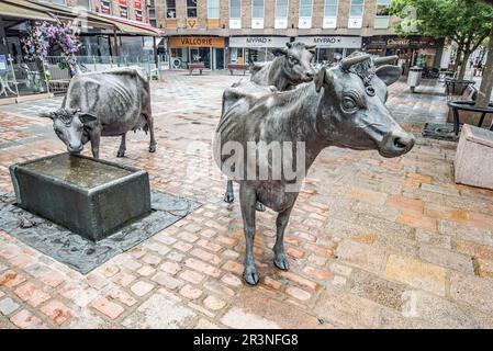 'La Vaque dé Jèrri' , a wonderful sculpture of the famous Jersey Cows, given pride of place at West's Centre, St Helier. Stock Photo