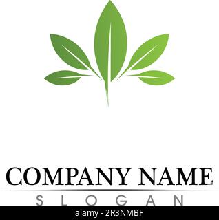 Eco, leaf, athletic, balance, body, brand, care, club, creative, Stock Vector