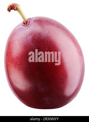 Red plum isolated on white background with clipping path. Full depth of field. Stock Photo