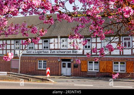 Siptenfelde in the Harz Mountains Stock Photo