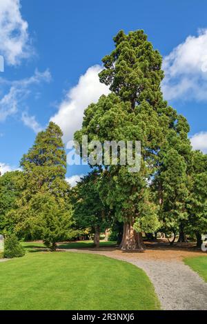 Phoenix Park, Dublin, Ireland Stock Photo