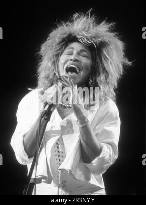 **FILE PHOTO** Tina Turner Has Passed Away, Tina Turner 1985 Photo By Adam Scull/PHOTOlink.net /MediaPunch Stock Photo