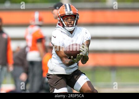 Cleveland Browns cornerback Thomas Graham Jr. (31) walks off of