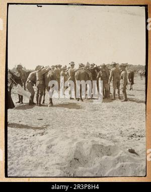 City of London Imperial Volunteers, Saddling up, during the Second Boer War, Cape Town South Africa, British Military History 1900 Stock Photo